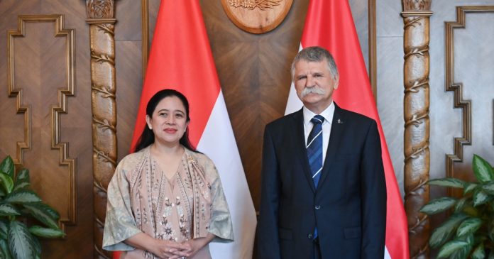 kover indonez